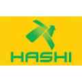 Hashi Energy Logo