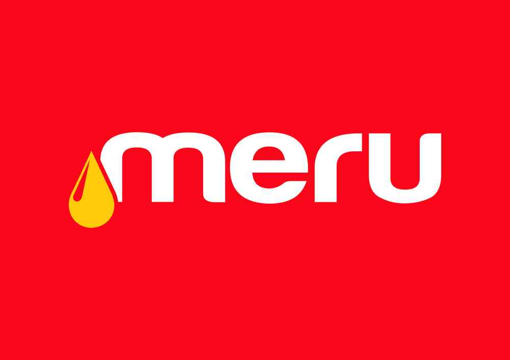 Mount Meru Logo
