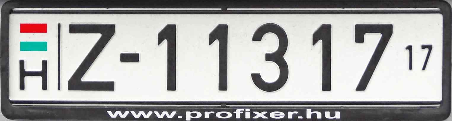 Hungary License Plate 2
