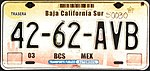 Mexico License Plate 2