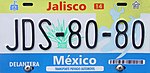 Mexico License Plate 8