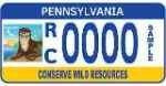 Unitedstates License Plate 30