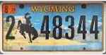 Unitedstates License Plate 48