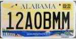 Unitedstates License Plate 49